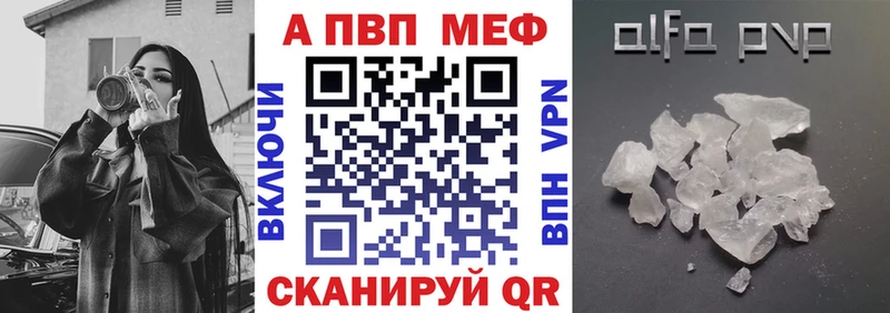 APVP СК  Кузнецк 
