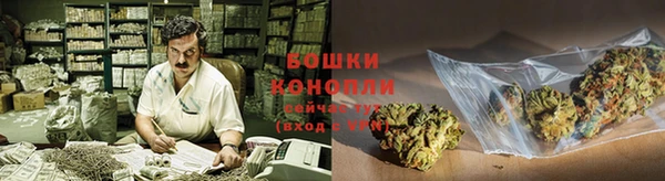 PSILOCYBIN Переславль-Залесский