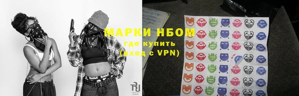 PSILOCYBIN Переславль-Залесский
