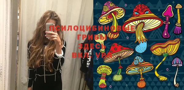 мет Пестово