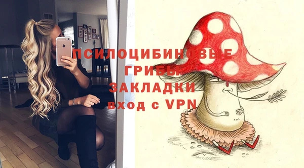 PSILOCYBIN Переславль-Залесский