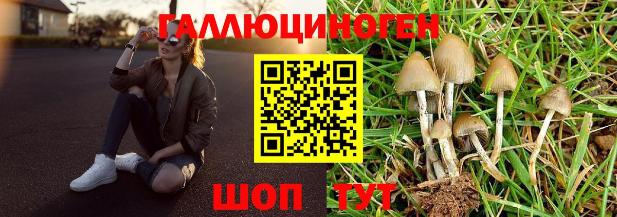 Псилоцибиновые грибы MAGIC MUSHROOMS  Вход с VPN  Псилоцибиновые грибы Psilocybe  Кузнецк 